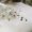 mpomponieres eisagvgeis seira basil frag0015