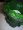 cement candel sticks seira antvn filip 0026